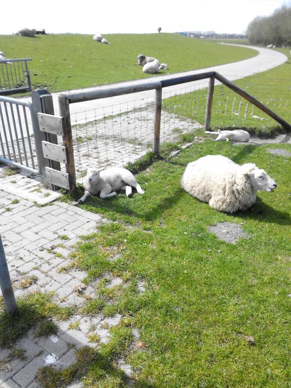 Auf Dem Alten Deich Sande Exteriör bild